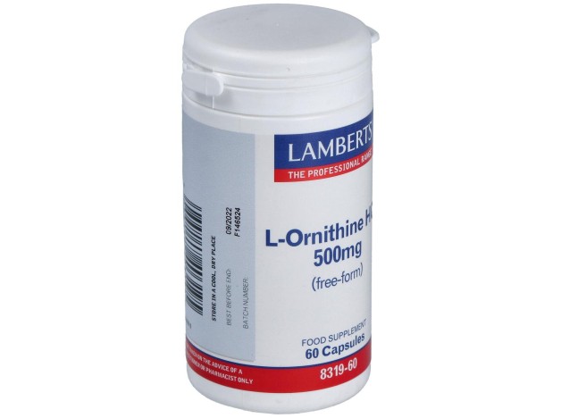 Lamberts Ornitina Hcl 500 Mg 60 Cap