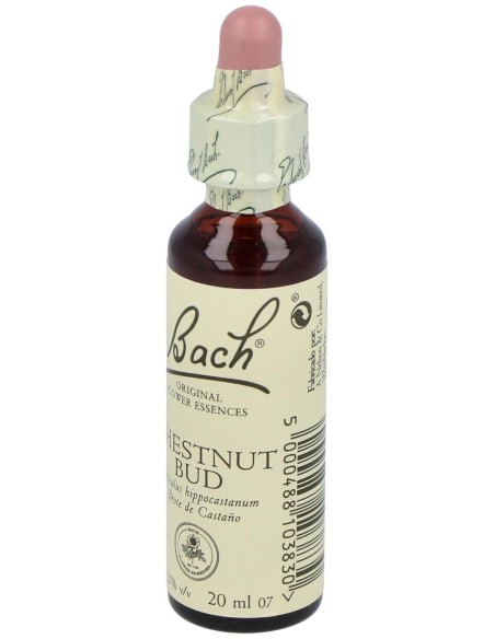 Flores Bach Chestnut Bud Brote Castaño 20Ml.