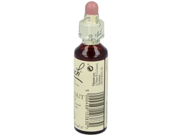 Flores Bach Chestnut Bud Brote Castaño 20Ml.
