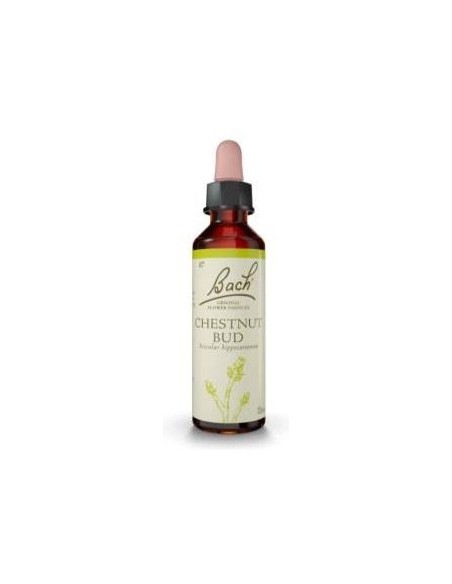 Flores Bach Chestnut Bud Brote Castaño 20Ml.