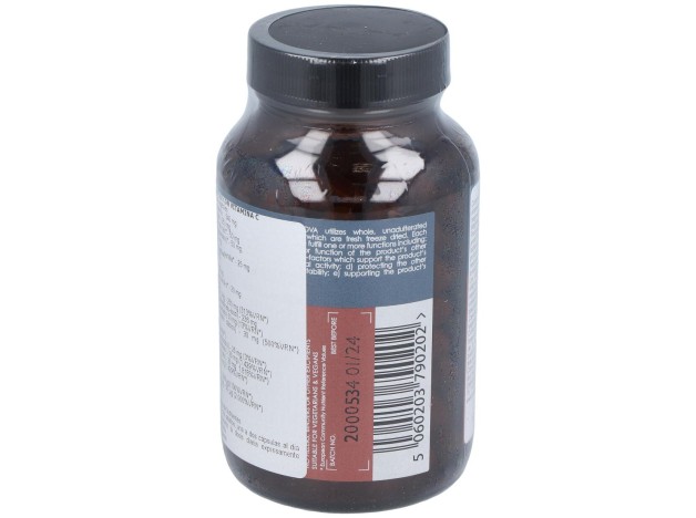 B-Complex Con Vit-C 100Vcap.