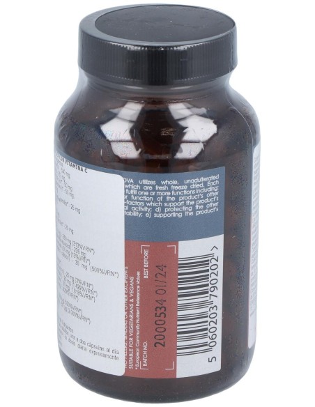 B-Complex Con Vit-C 100Vcap.