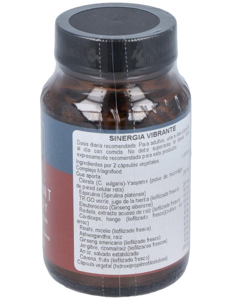 Terra Nova Vibrant Synergy 50Caps