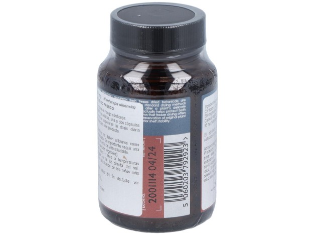 Terranova Córdiceps 500 Mg (Cordyceps Sinensis)...