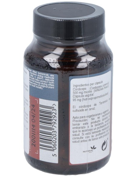 Terranova Córdiceps 500 Mg (Cordyceps Sinensis) 50 Cápsulas