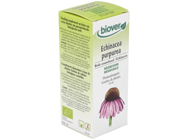 Ext. Echinacea Purpurea (Echinacea) 50Ml.