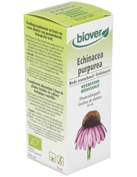 Ext. Echinacea Purpurea (Echinacea) 50Ml.