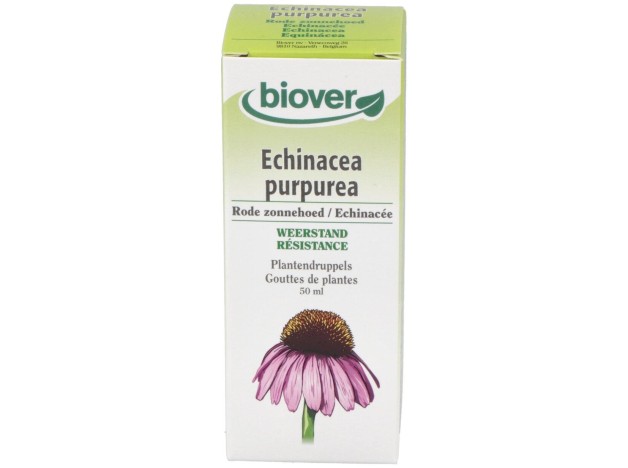 Ext. Echinacea Purpurea (Echinacea) 50Ml.