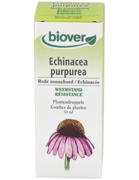 Ext. Echinacea Purpurea (Echinacea) 50Ml.