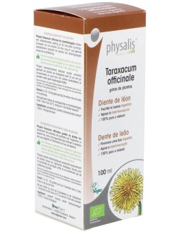 Physalis Diente De León...