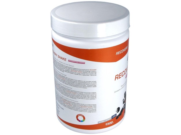 Etixx Recovery Sabor Raspberry/Kiwi 1,5Kg.