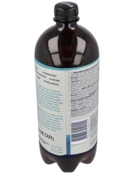 Kombucha Original 1Lt Bio