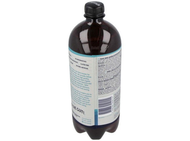 Kombucha Original 1Lt Bio