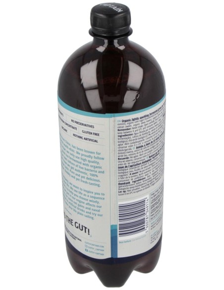 Kombucha Original 1Lt Bio