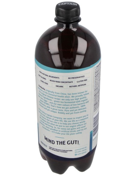 Kombucha Original 1Lt Bio