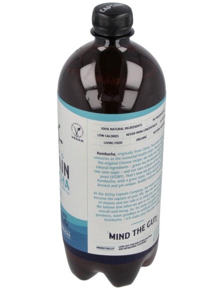 Kombucha Original 1Lt Bio