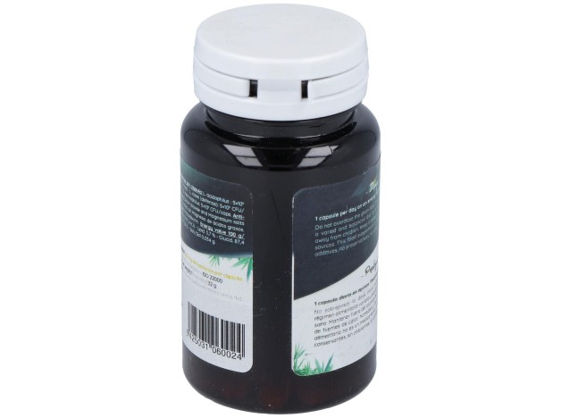 San Probiotic Human Specific Ferment 60Cáps
