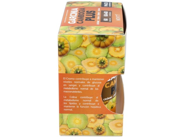 Garcinia Cambogia Plus Pack 2X60Comp.