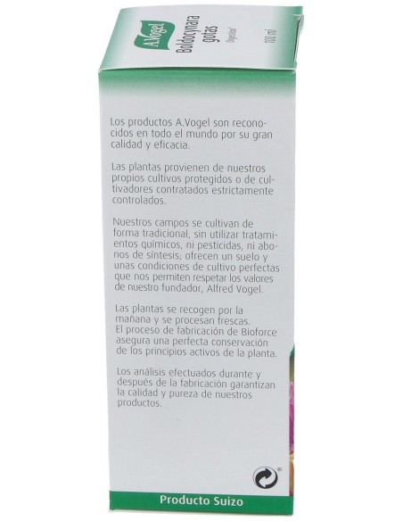 A. Vogel Boldocynara 100Ml