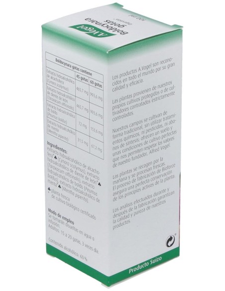 A. Vogel Boldocynara 100Ml