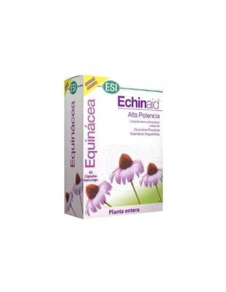 Echinaid Alta Potencia 60Cps
