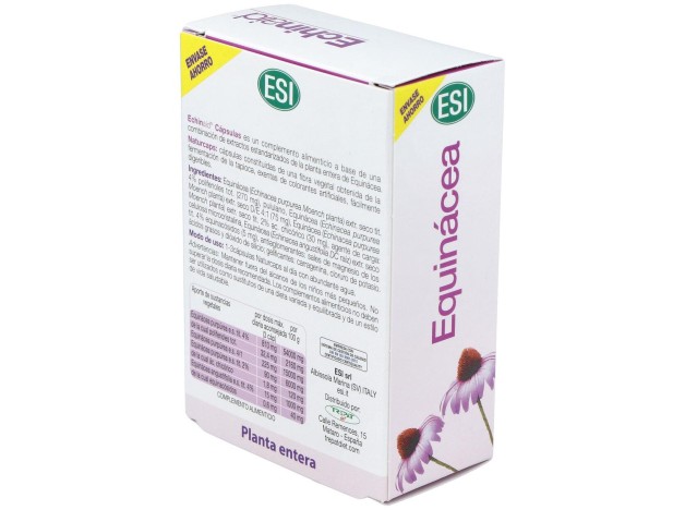 Echinaid Alta Potencia 60Cps