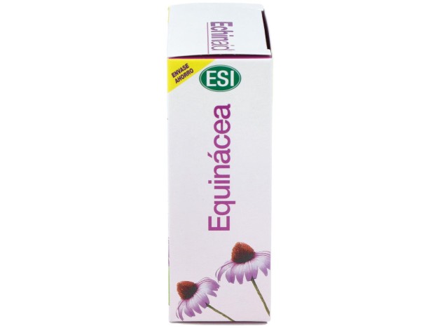 Echinaid Alta Potencia 60Cps