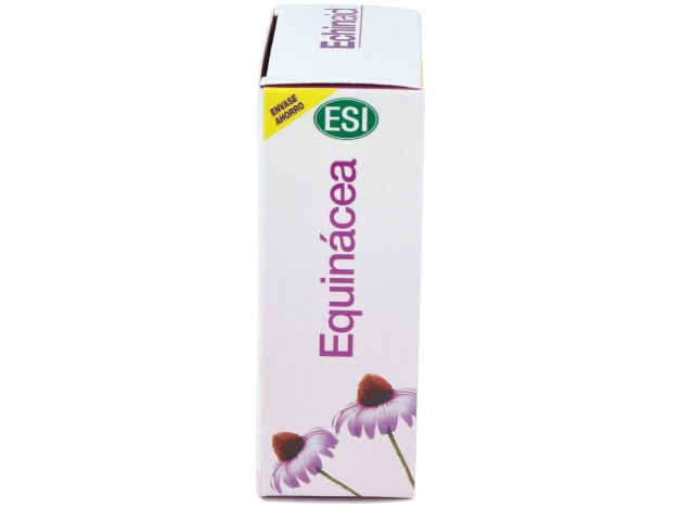 Echinaid Alta Potencia 60Cps