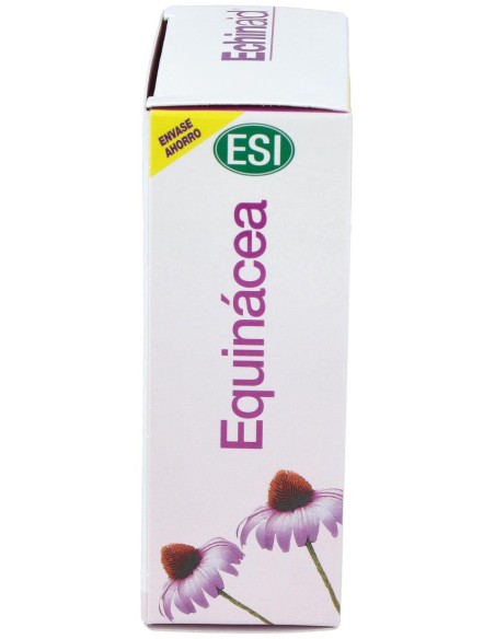 Echinaid Alta Potencia 60Cps