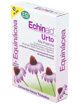 Esi Trepat Diet Echinaid...