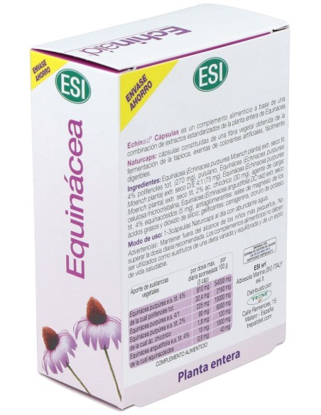Echinaid Alta Potencia 60Cps