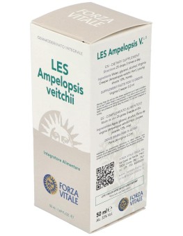 Les Ampelopsis W. Vid...