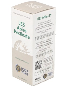 Les Abies Pectinata Abeto...