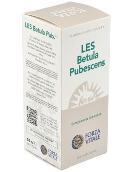 Les Betula Pubescens Abedul...