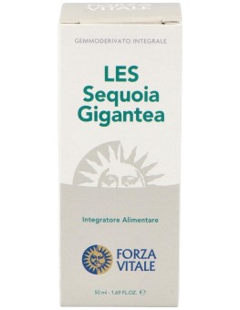 Les Sequoia Gigantea Secoya...