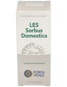 Les Sorbus Domestica Serbal...