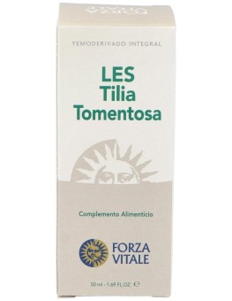 Les Tilia Tormentosa Tilo...