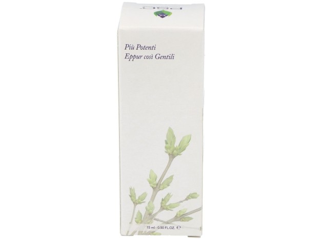Psc Ginkgo Biloba 15Ml.