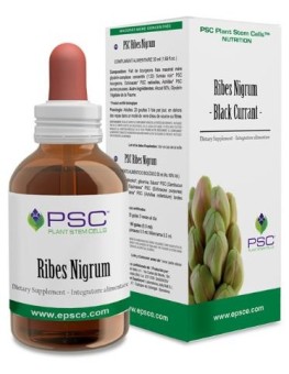 Psc Ribes Nigrum 15Ml.
