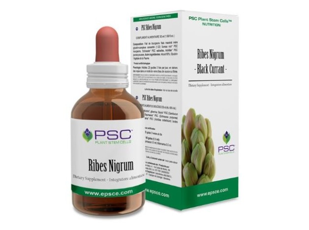 Psc Ribes Nigrum 15Ml.