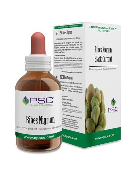 Psc Ribes Nigrum 15Ml.