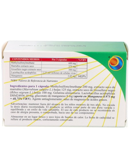 Allersol Blister 60Cap.