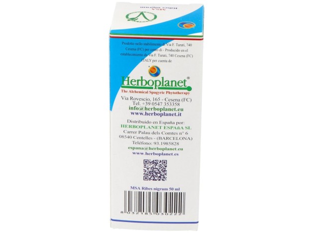 Msa Ribes Nigrum Yemas Grosellero Negro 50Ml.