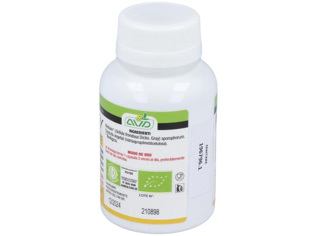 Micotherapy Maitake 90Cap.