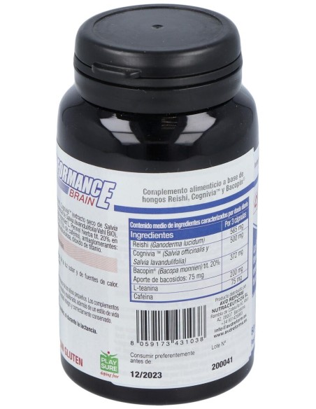 Performance Brain 60Cap.