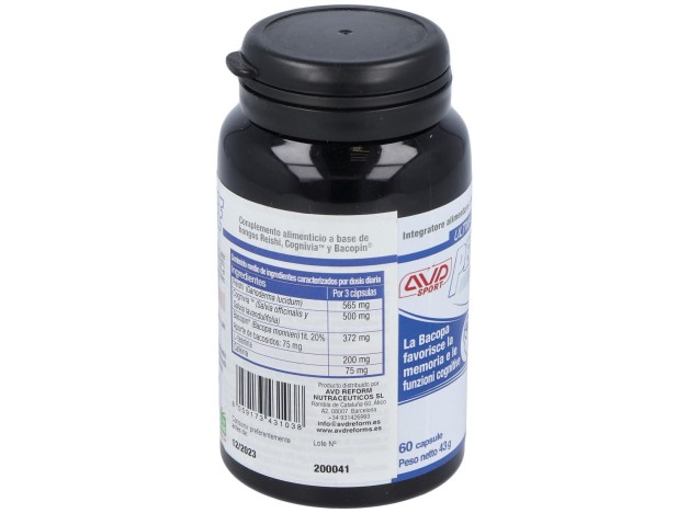 Performance Brain 60Cap.