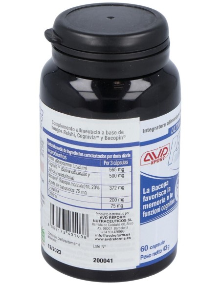 Performance Brain 60Cap.