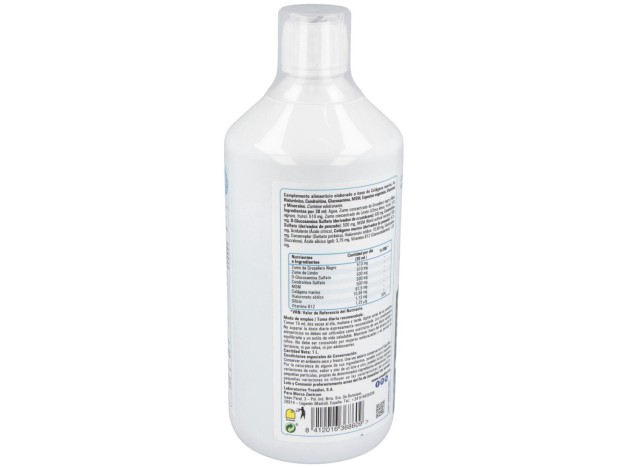 Zentrum Silicon Compslex 1L
