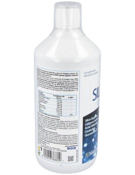 Zentrum Silicon Compslex 1L