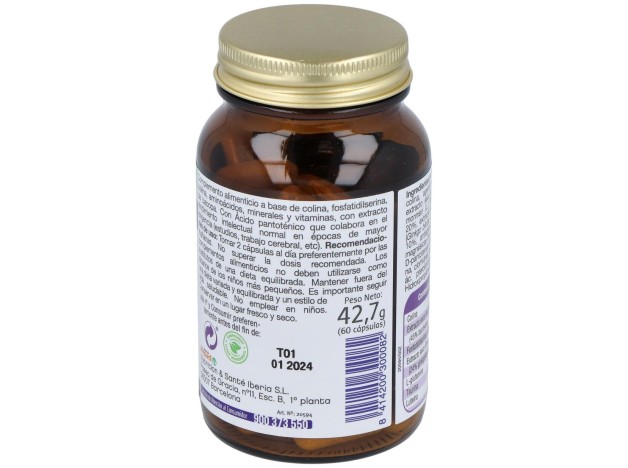 Mega Intelecto 60Cap.